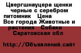 Цвергшнауцера щенки черные с серебром питомник › Цена ­ 30 000 - Все города Животные и растения » Собаки   . Саратовская обл.